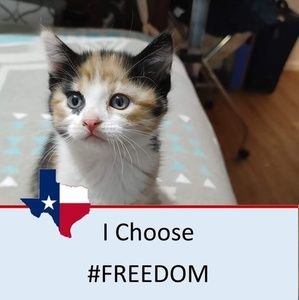 Meet your Posher, April benson